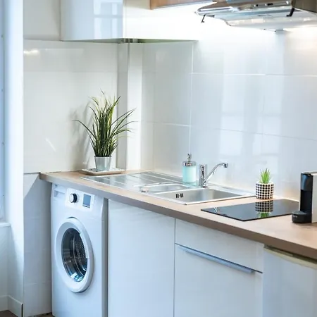 Charming Renovated - Apartment Villeurbanne